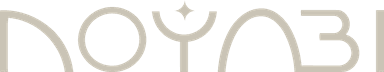 Noyabi